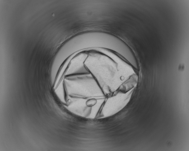 X0000112980109200910081119