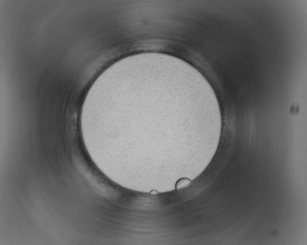 X0000112980110200910081119