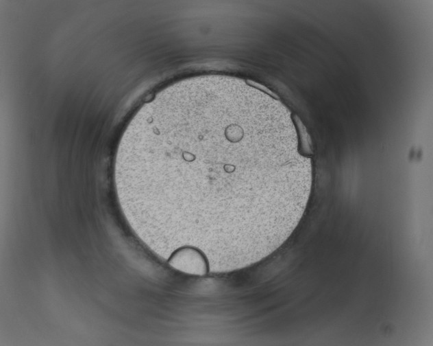 X0000112980111200910081119