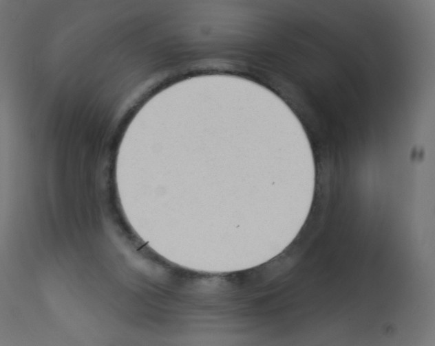 X0000112980112200910081119