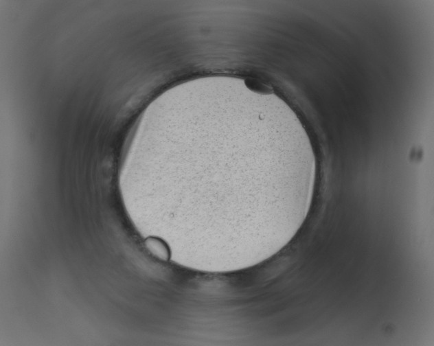X0000112980113200910081119