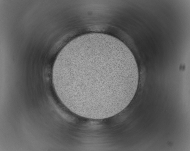 X0000112980114200910081119