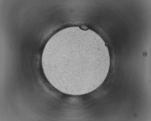 X0000112980115200910081119