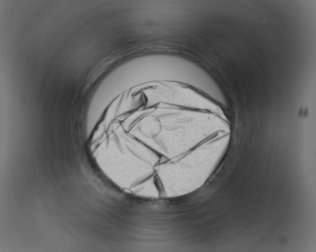 X0000112980116200910081119