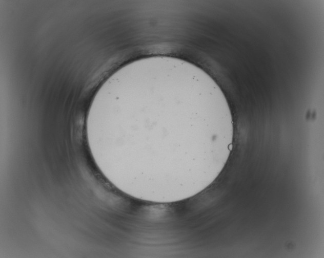X0000112980118200910081119