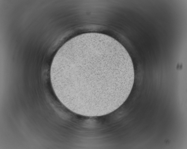 X0000112980119200910081119
