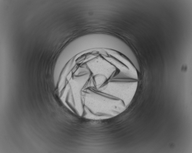 X0000112980121200910081119