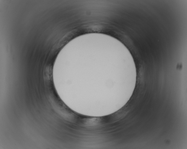 X0000112980122200910081119