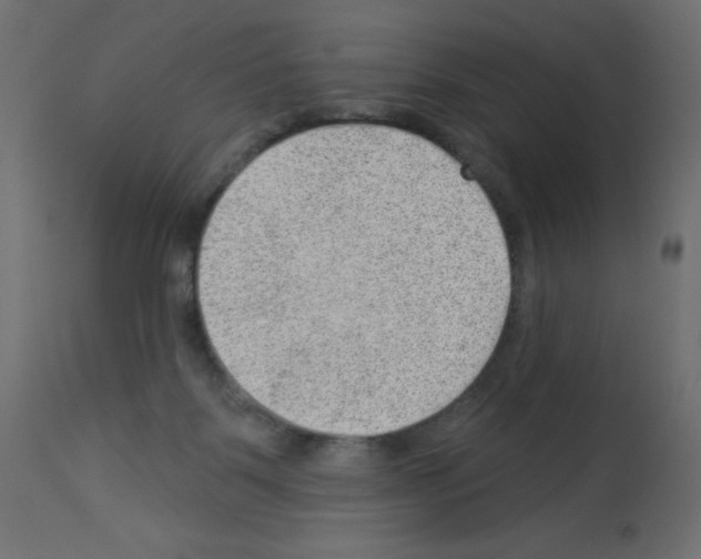 X0000112980123200910081119