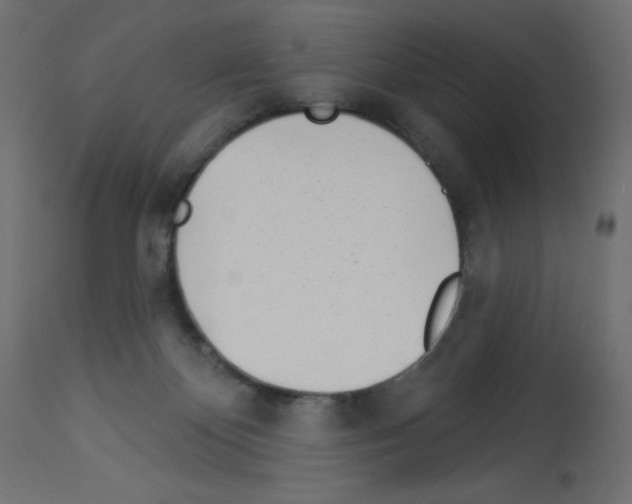 X0000112980124200910081119