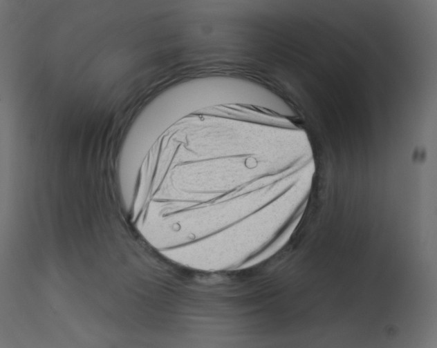 X0000112980125200910081119