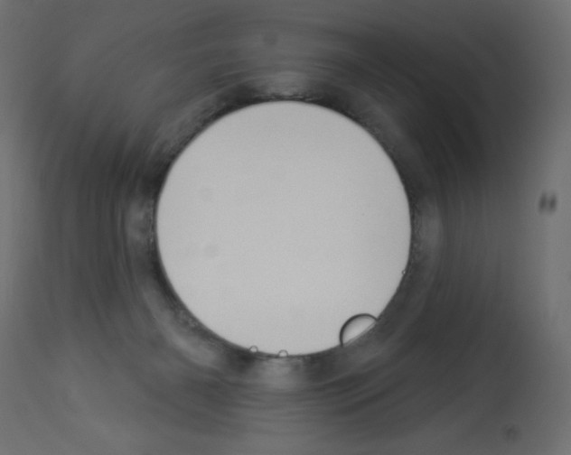 X0000112980126200910081119
