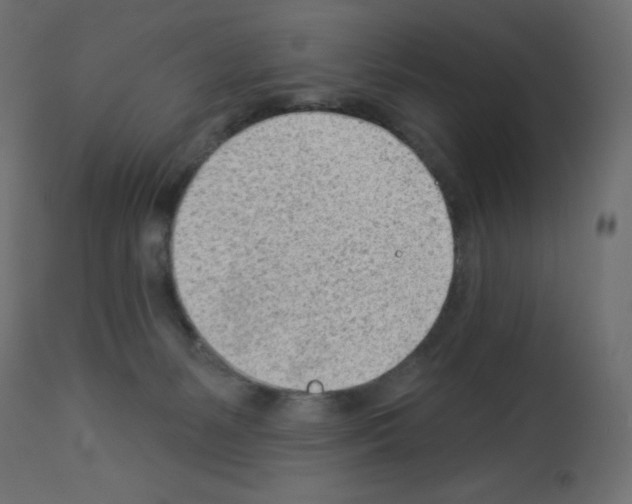 X0000112980127200910081119