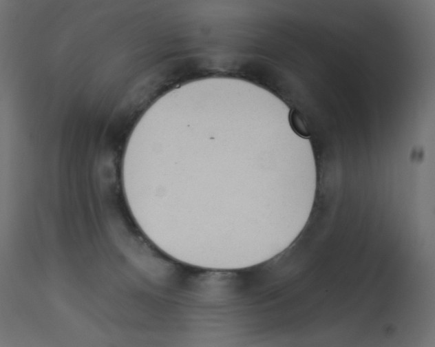X0000112980128200910081119
