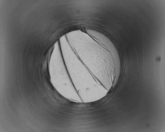 X0000112980129200910081119