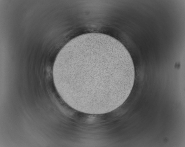 X0000112980130200910081119