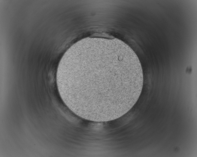 X0000112980131200910081119