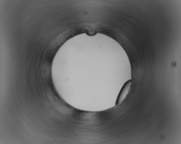 X0000112980132200910081119