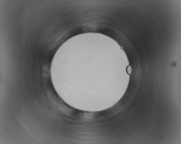 X0000112980134200910081119
