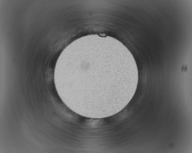 X0000112980135200910081119