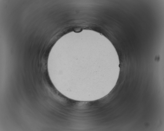 X0000112980136200910081118