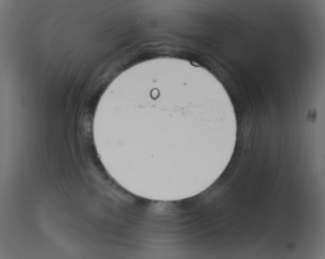 X0000112980137200910081118