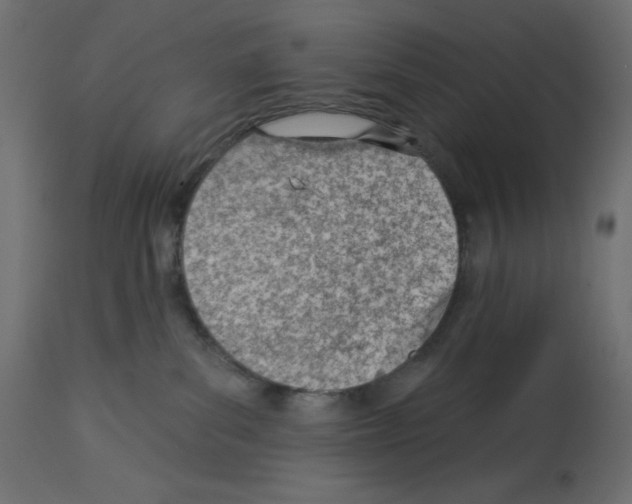 X0000112980139200910081118