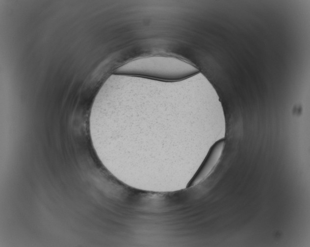 X0000112980140200910081118