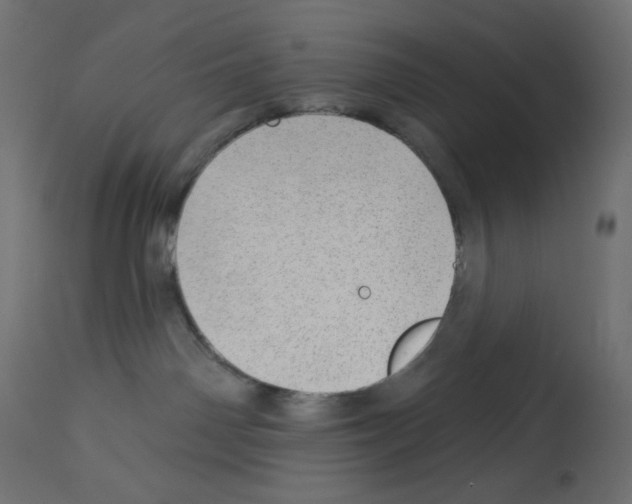 X0000112980142200910081118
