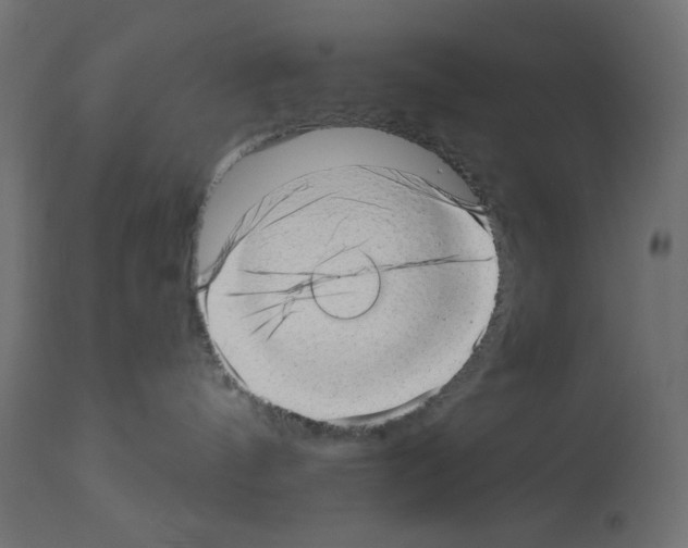 X0000112980144200910081118