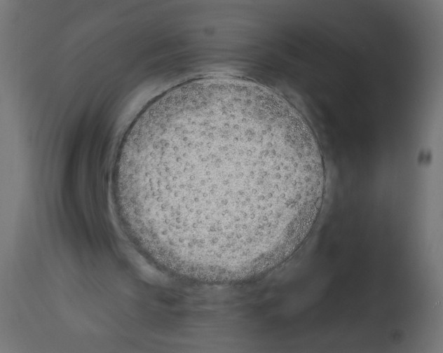 X0000112980145200910081118