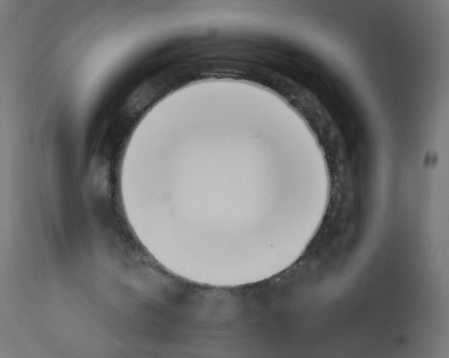X0000112980146200910081118