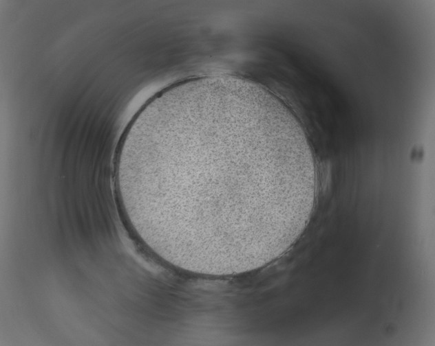 X0000112980147200910081118