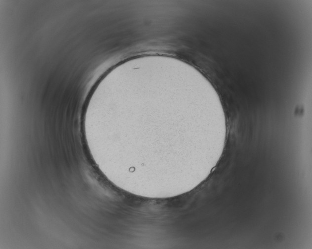 X0000112980148200910081118