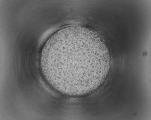 X0000112980149200910081118
