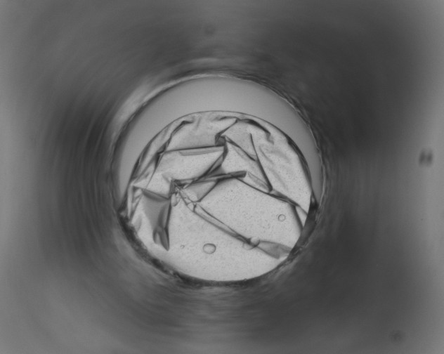 X0000112980150200910081118