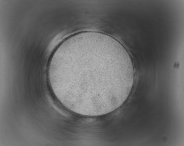 X0000112980151200910081118