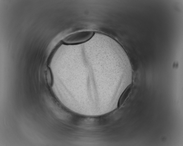X0000112980152200910081118