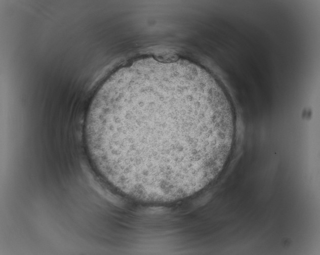 X0000112980153200910081118