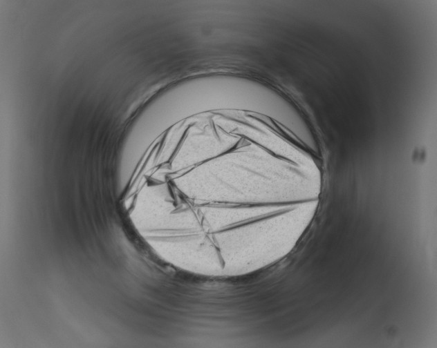X0000112980154200910081118