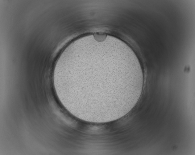 X0000112980155200910081118
