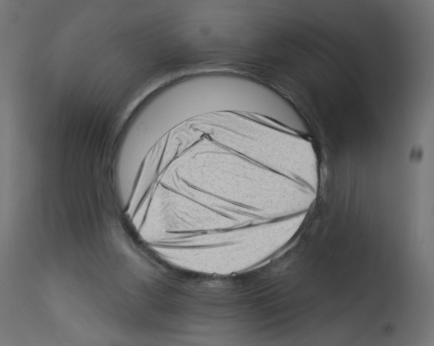 X0000112980156200910081118