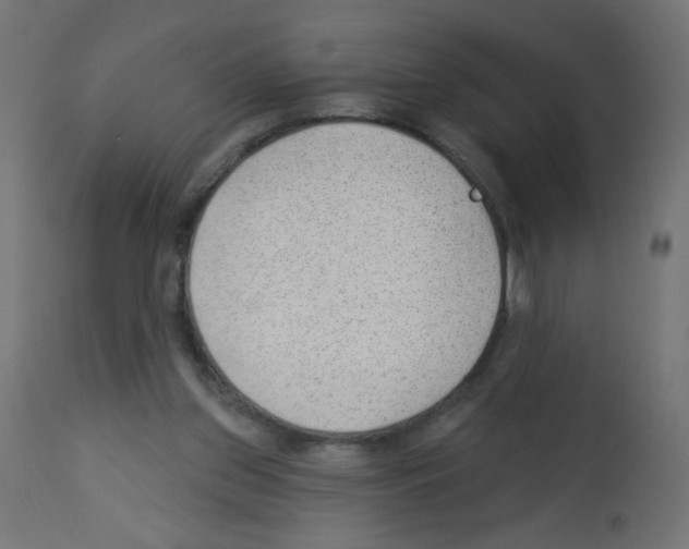 X0000112980157200910081118