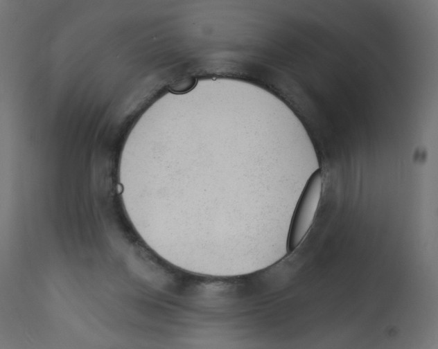 X0000112980158200910081118