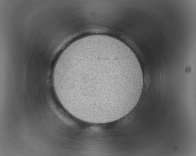 X0000112980159200910081118