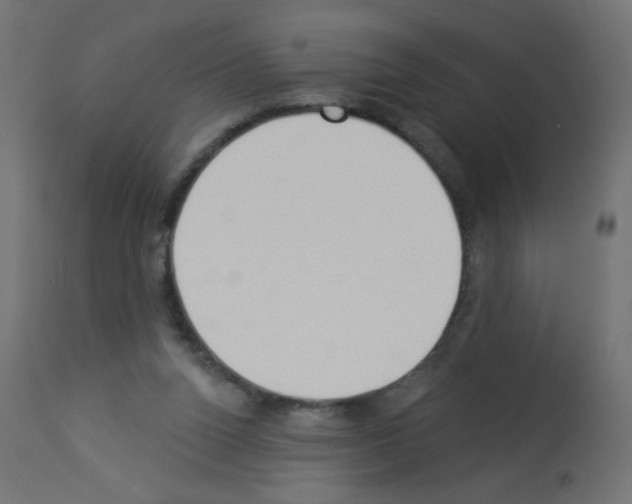 X0000112980160200910081118