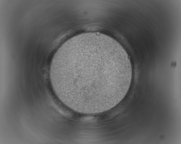 X0000112980161200910081118