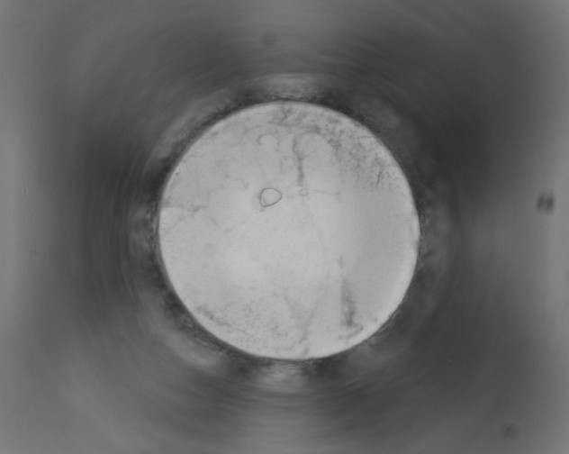 X0000112980162200910081118