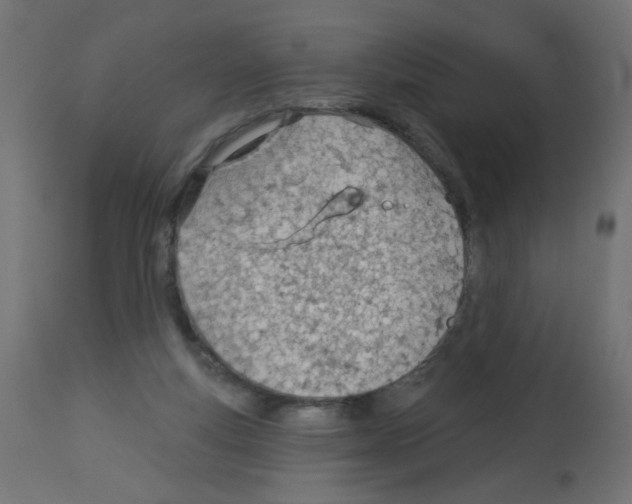 X0000112980163200910081118