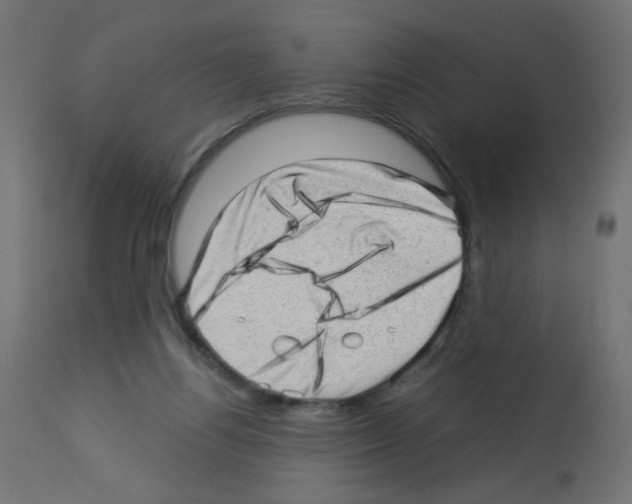X0000112980164200910081118